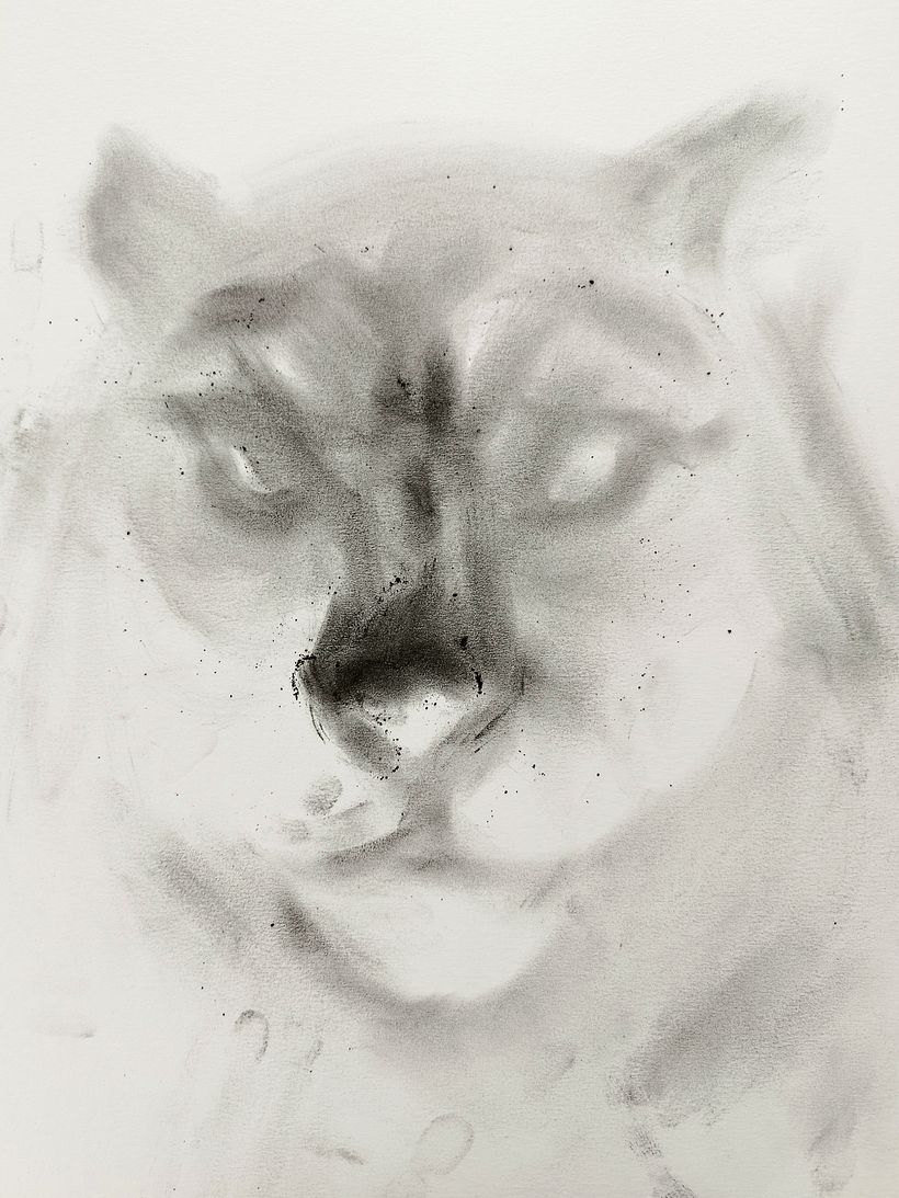 This is a rough sketch done with fingers.