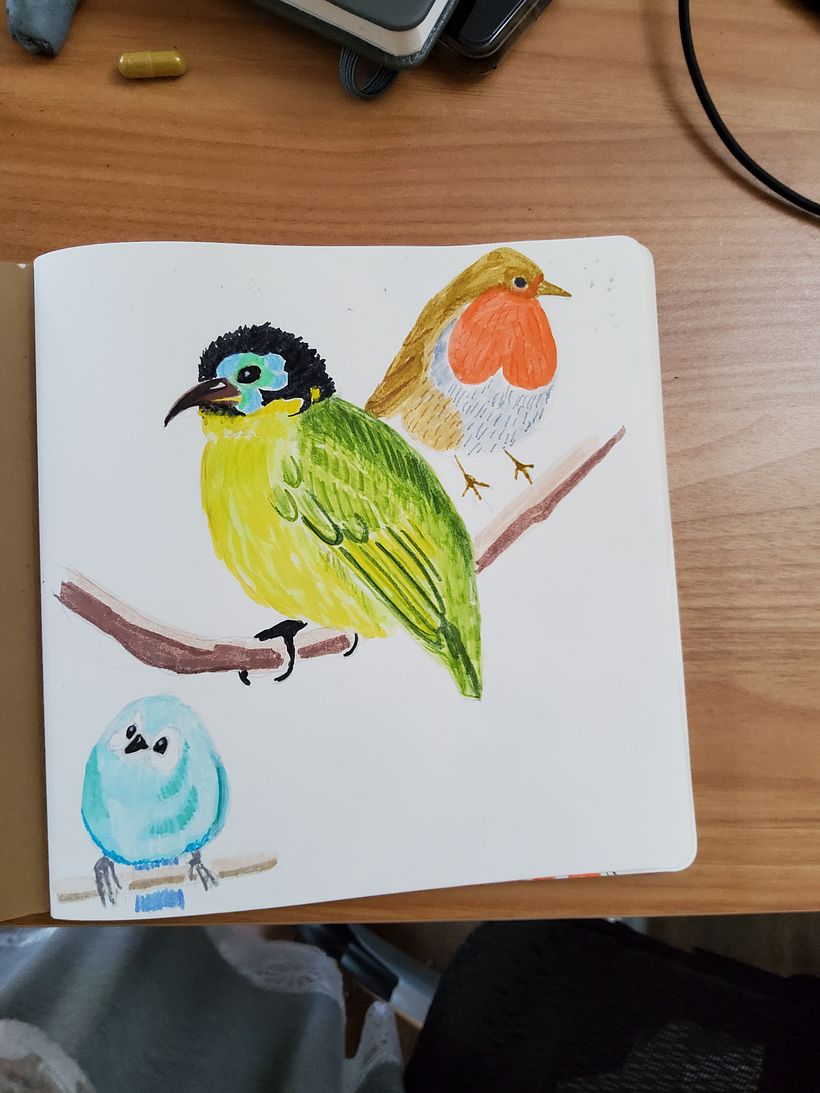 Birds