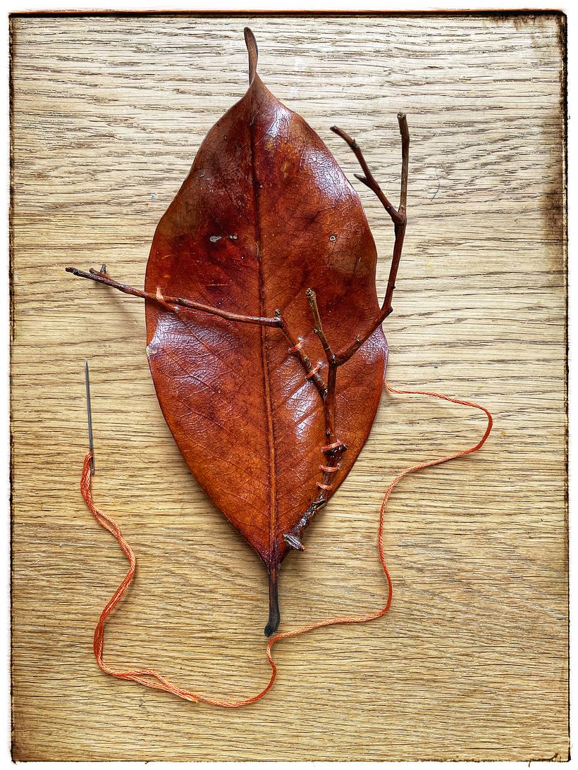 My project for course: Extraordinary Embroidery: Explore Alternative Organic Materials 5