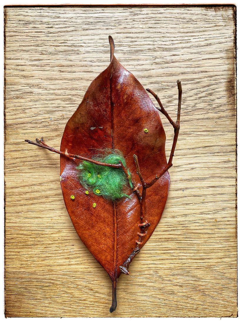 My project for course: Extraordinary Embroidery: Explore Alternative Organic Materials 6