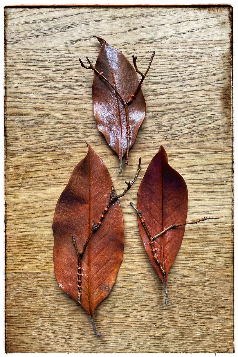 My project for course: Extraordinary Embroidery: Explore Alternative Organic Materials 7