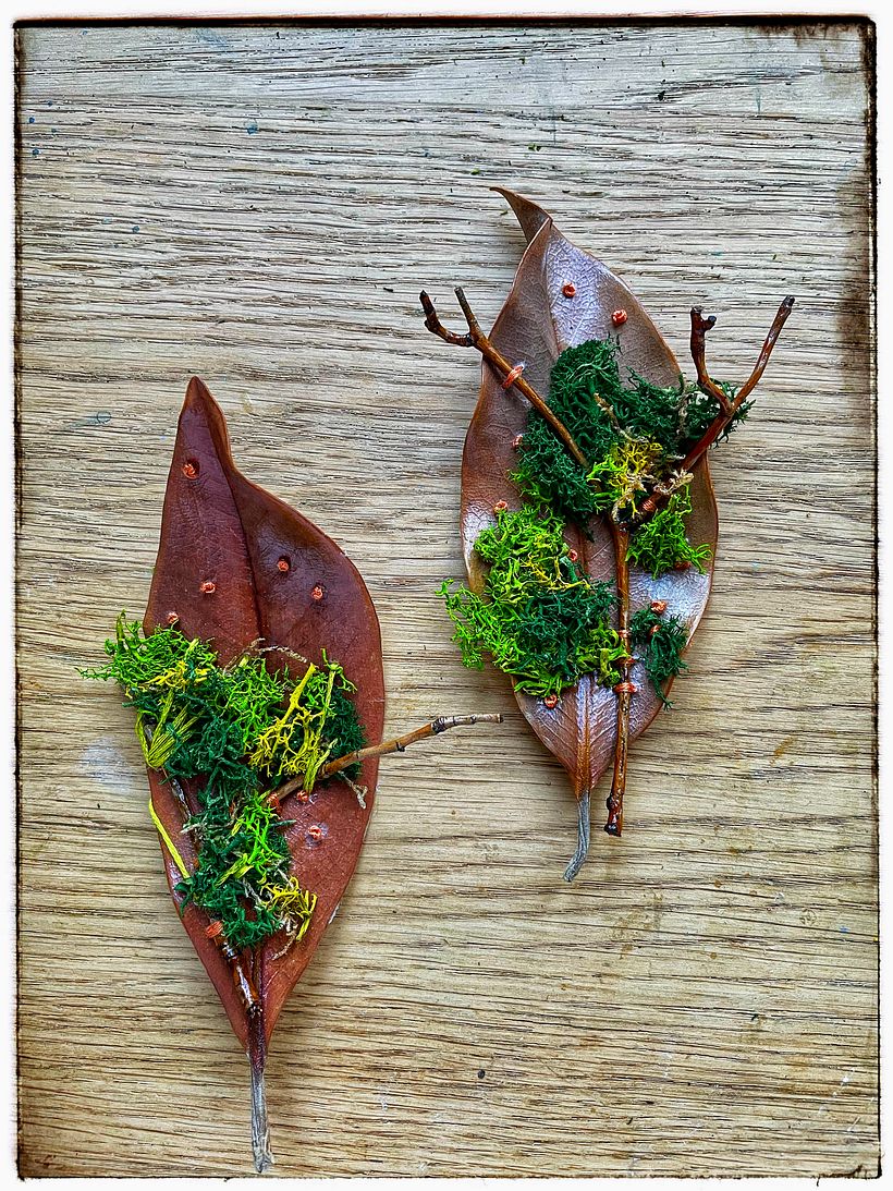 My project for course: Extraordinary Embroidery: Explore Alternative Organic Materials 4