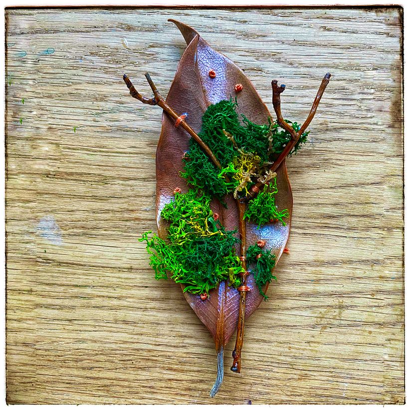 My project for course: Extraordinary Embroidery: Explore Alternative Organic Materials 6