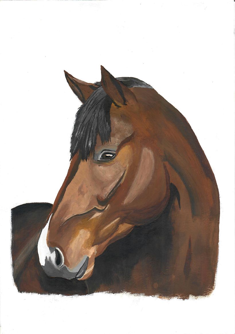 Gouachebild A4 Pferdeportrait 2023