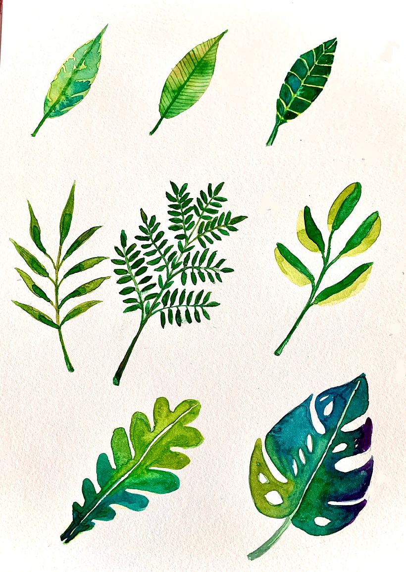 Elementi botanici 2