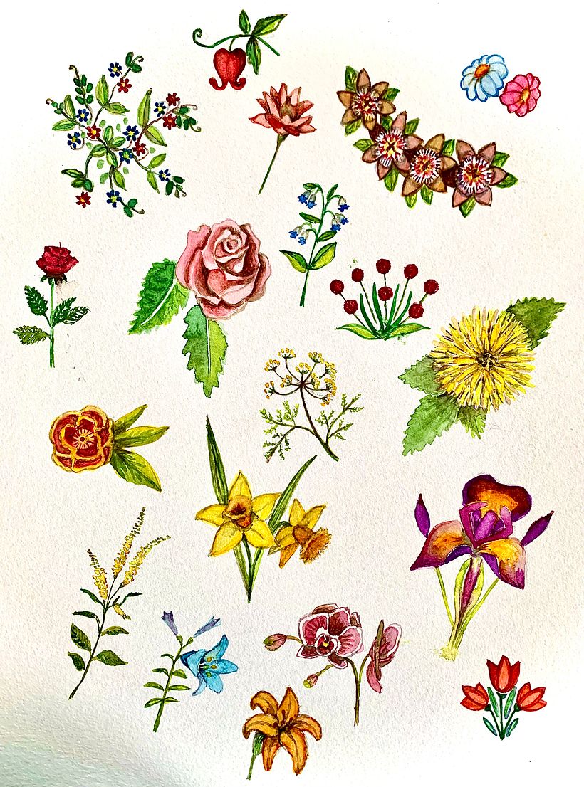 Fiori