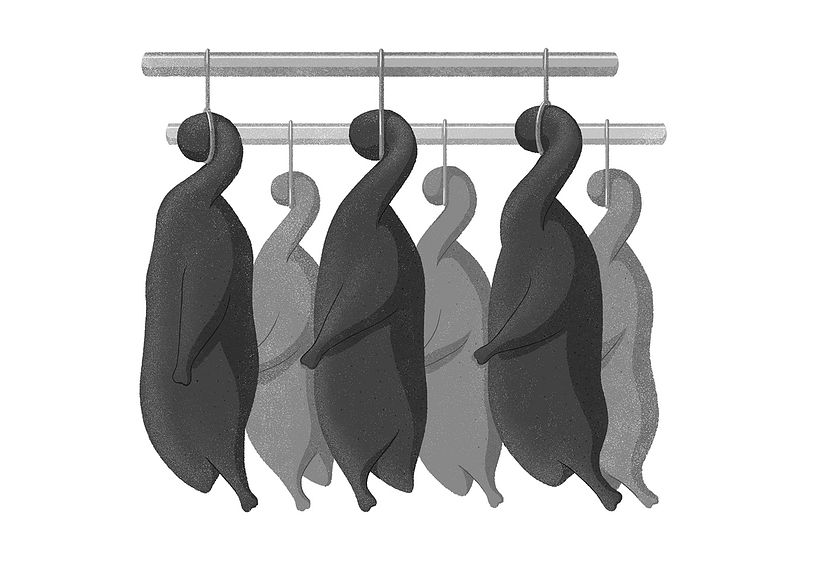 Ursa Story Podcast 7