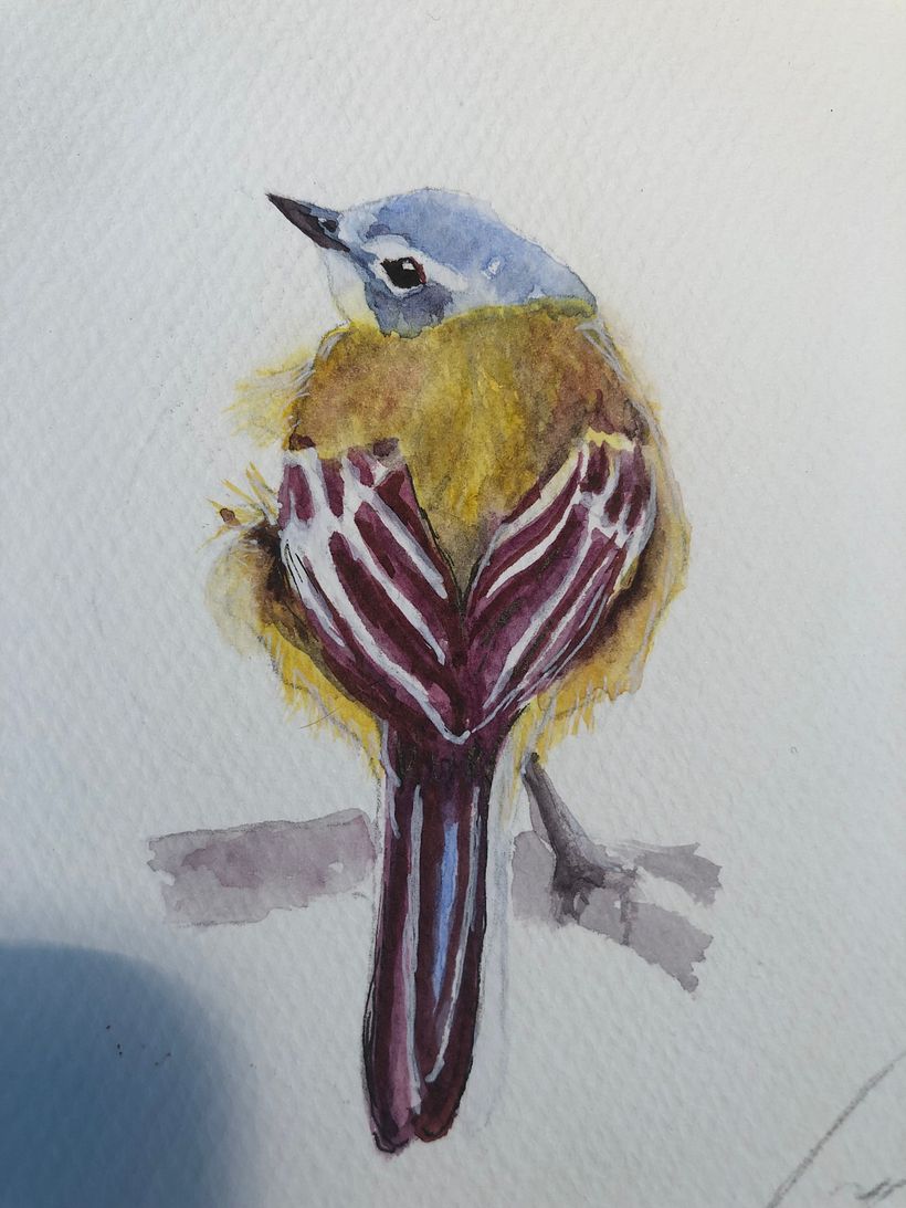 My project for course: Artistic Watercolor Techniques for Illustrating Birds 2