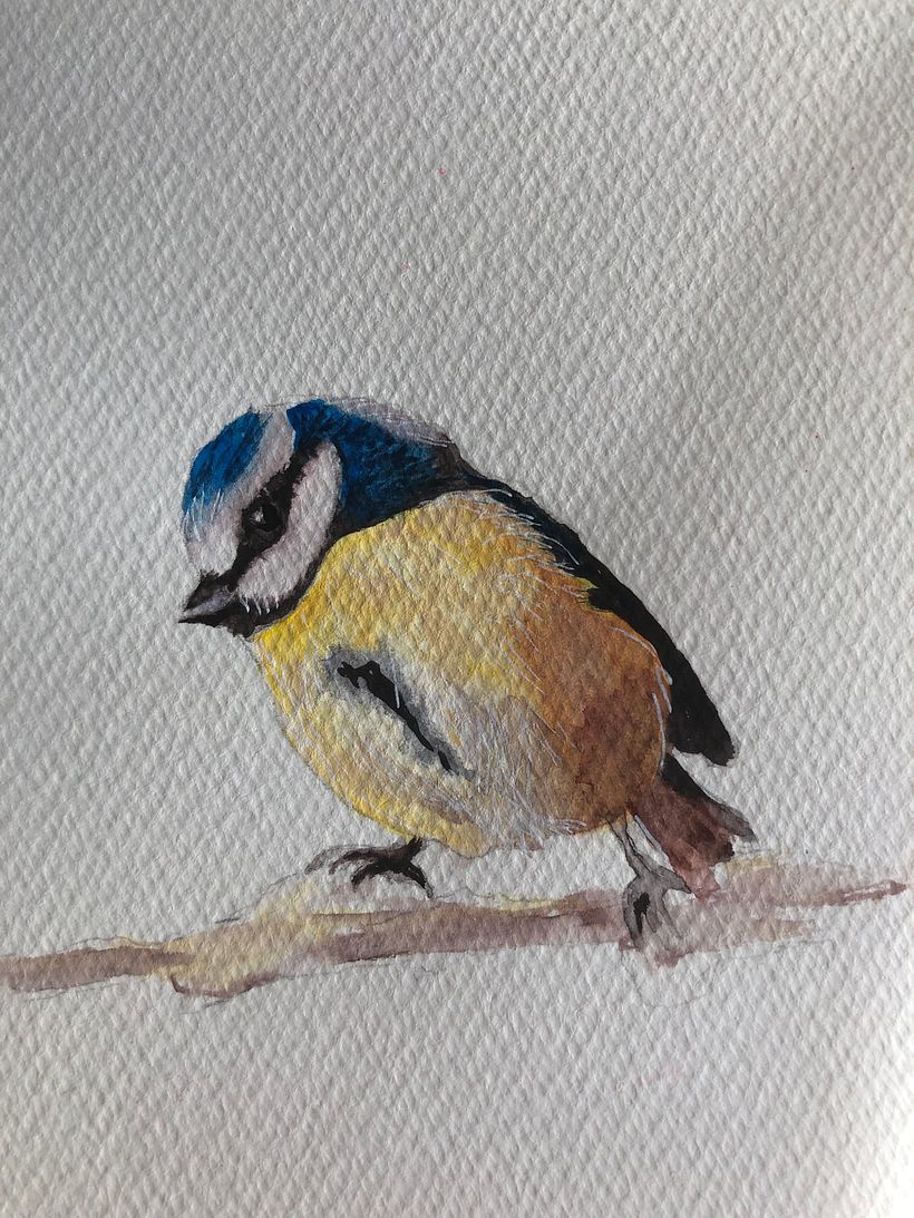 My project for course: Artistic Watercolor Techniques for Illustrating Birds 4