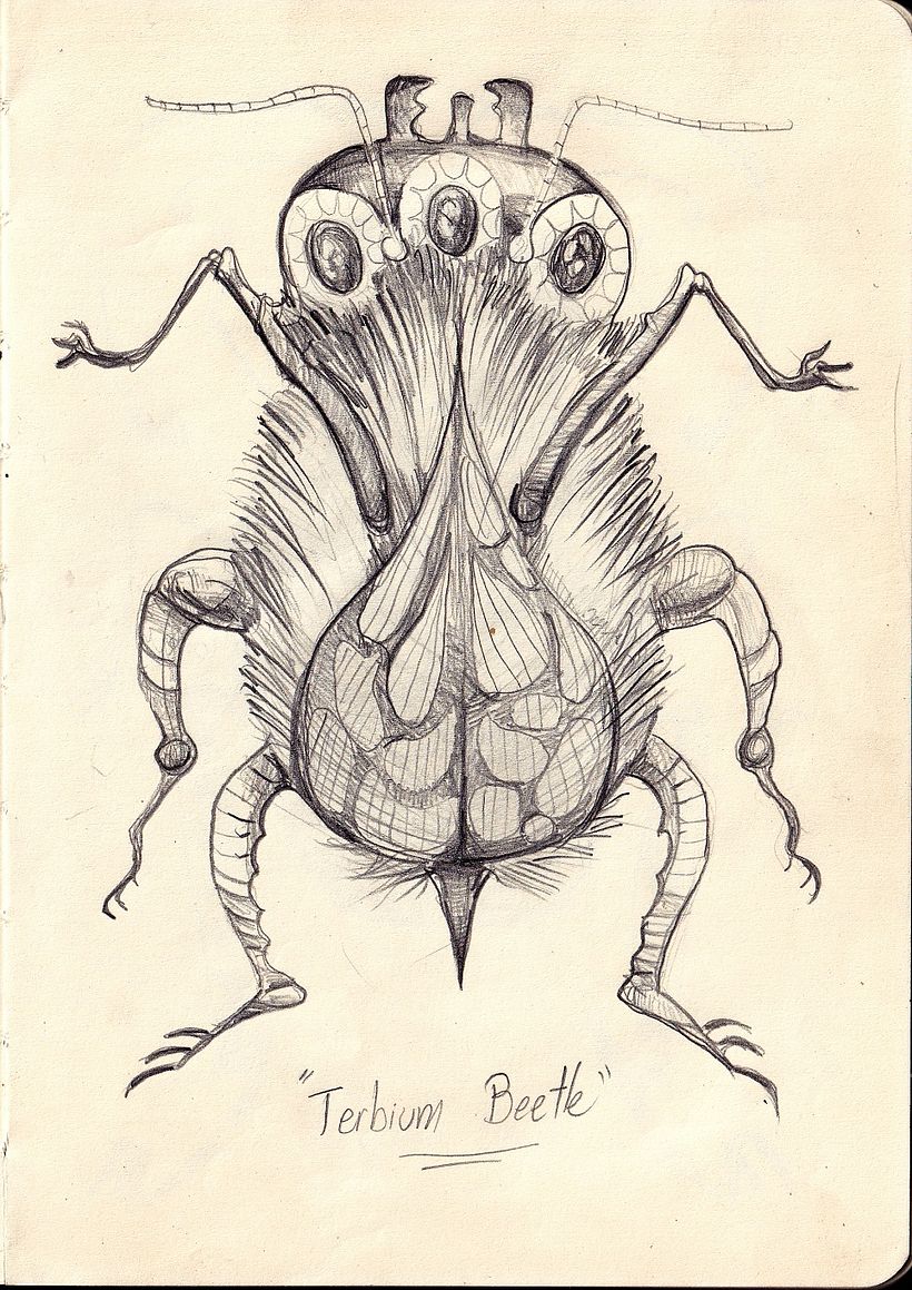 Boceto de insecto inspirado en elementos recolectados en el bosque
