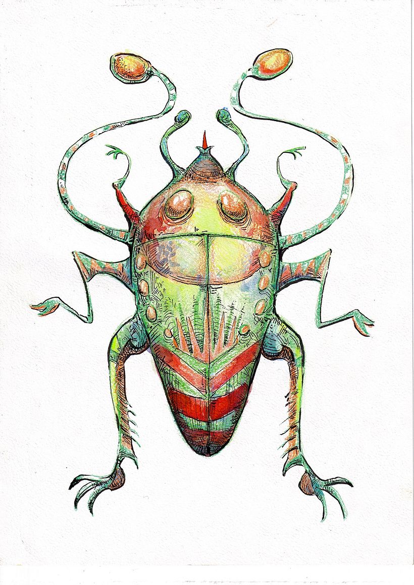 Insecto usando lápiz de color y tinta, al que luego redibujaremos como una flor.