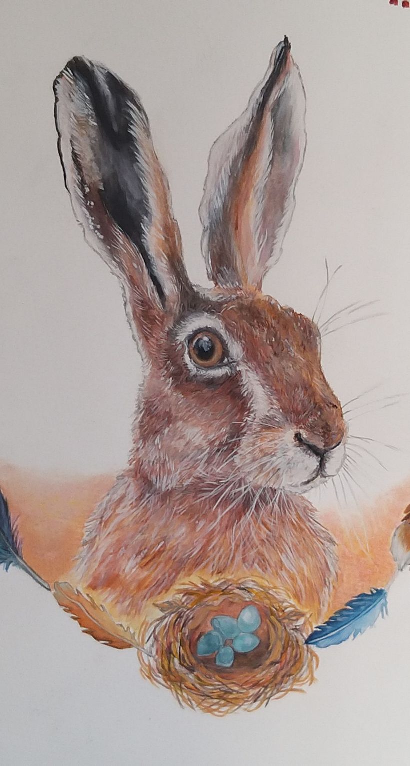 Spring Hare  - Tasarım