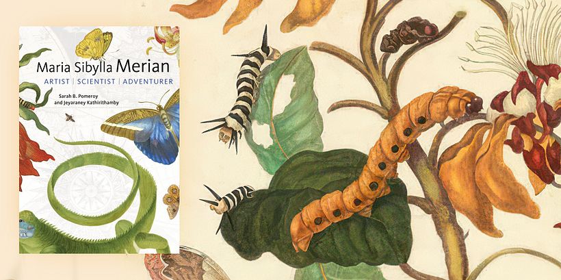 Scientific illustration books Maria Sibylla Merian: Artist, Scientist, Adventurer 