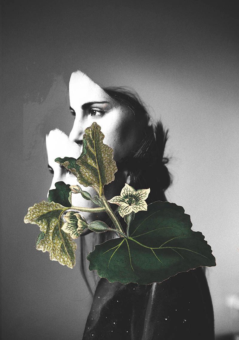 Digital Collages 22