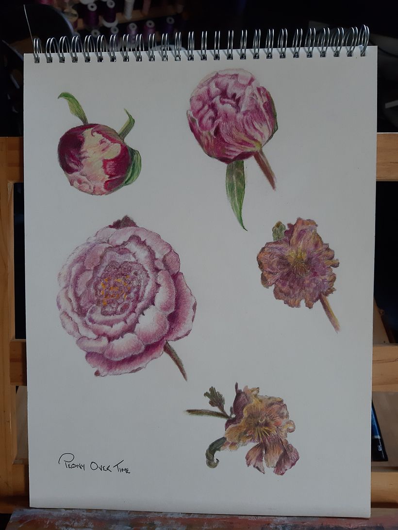 My project for course: Botanical Sketchbooking: A Meditative Approach 7