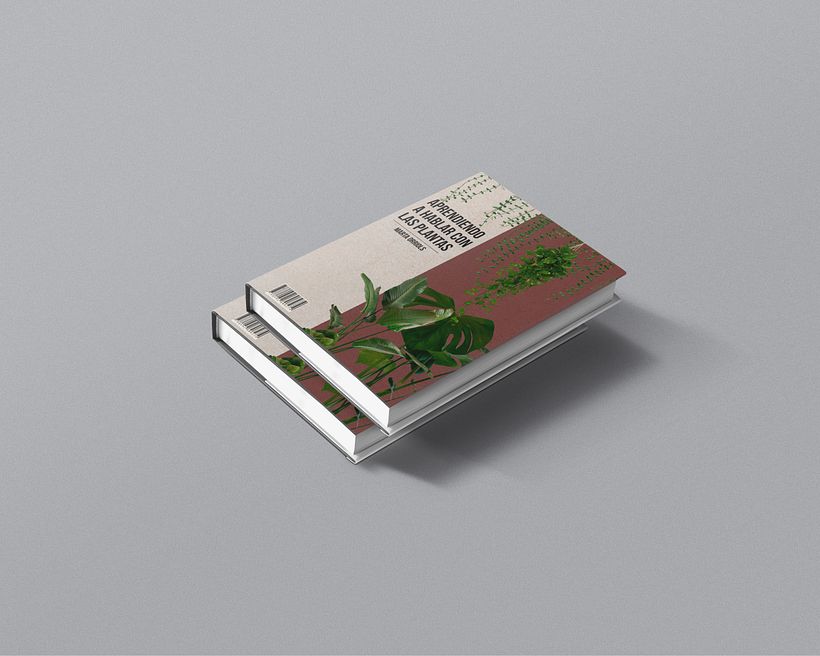 Portada libro + mockup 1