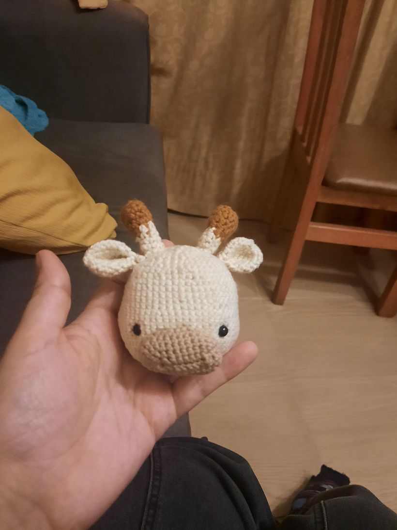 Mi proyecto del curso: Amigurumi para principiantes: teje animales en crochet 3