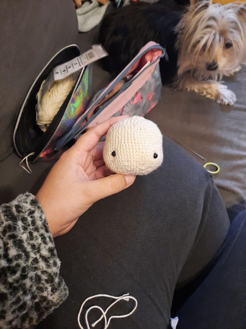 Mi proyecto del curso: Amigurumi para principiantes: teje animales en crochet 4
