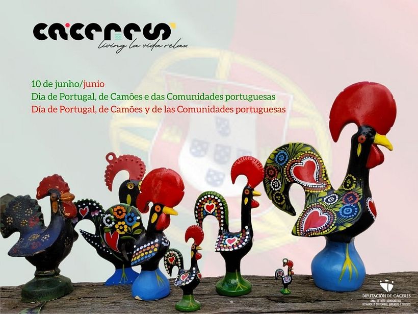 Provincia de Cáceres 5
