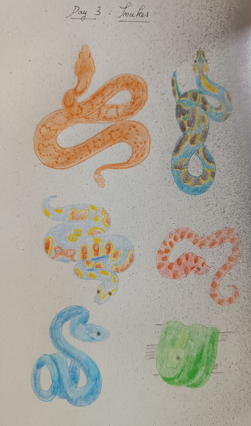 My project for course: Creative Drawing Techniques for Beginners 7