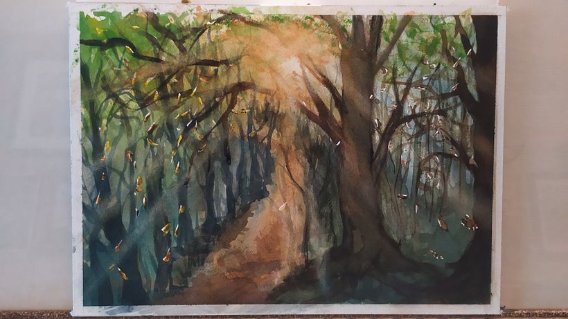 Excursión  por un hayedo 2