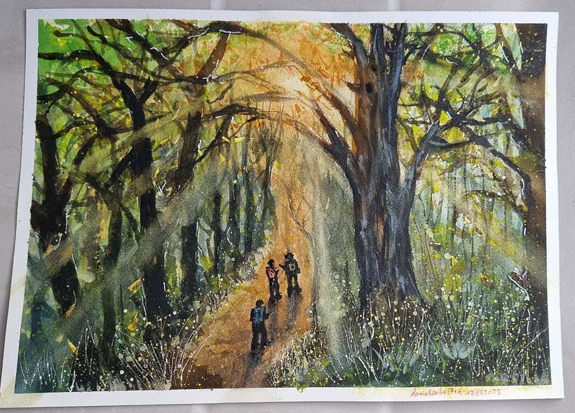 Excursión  por un hayedo 3