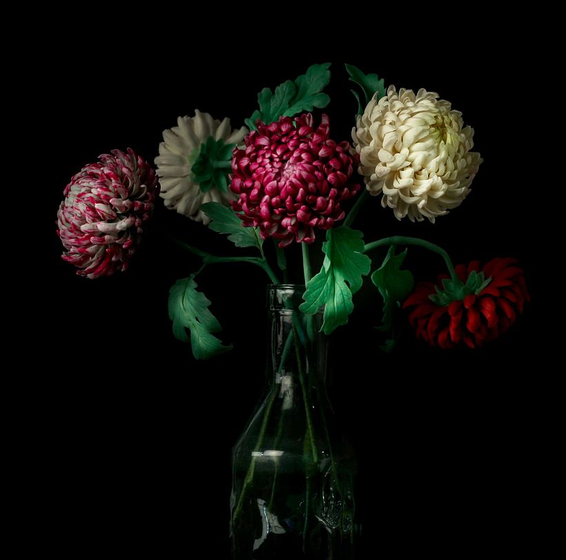 Flower bouquet: Chrysanthemum 2018