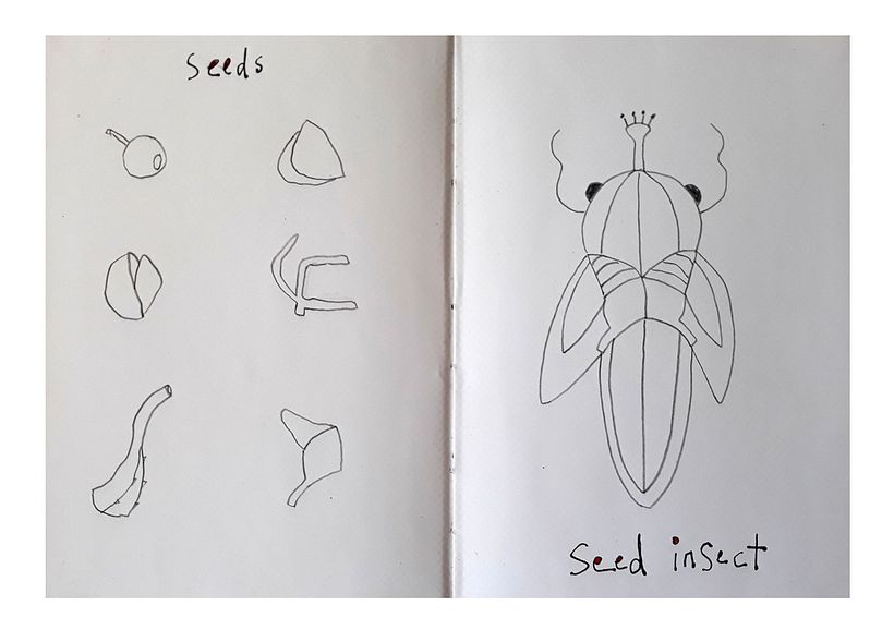 I designed the insect from the seed at the bottom right on the left page