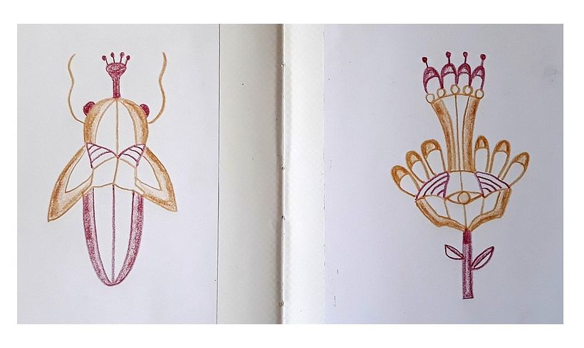 Insect done in 2 pencil crayon colours, and then the flower was developed from the insect