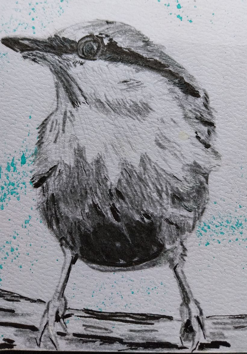 My project for course: Artistic Watercolor Techniques for Illustrating Birds 2
