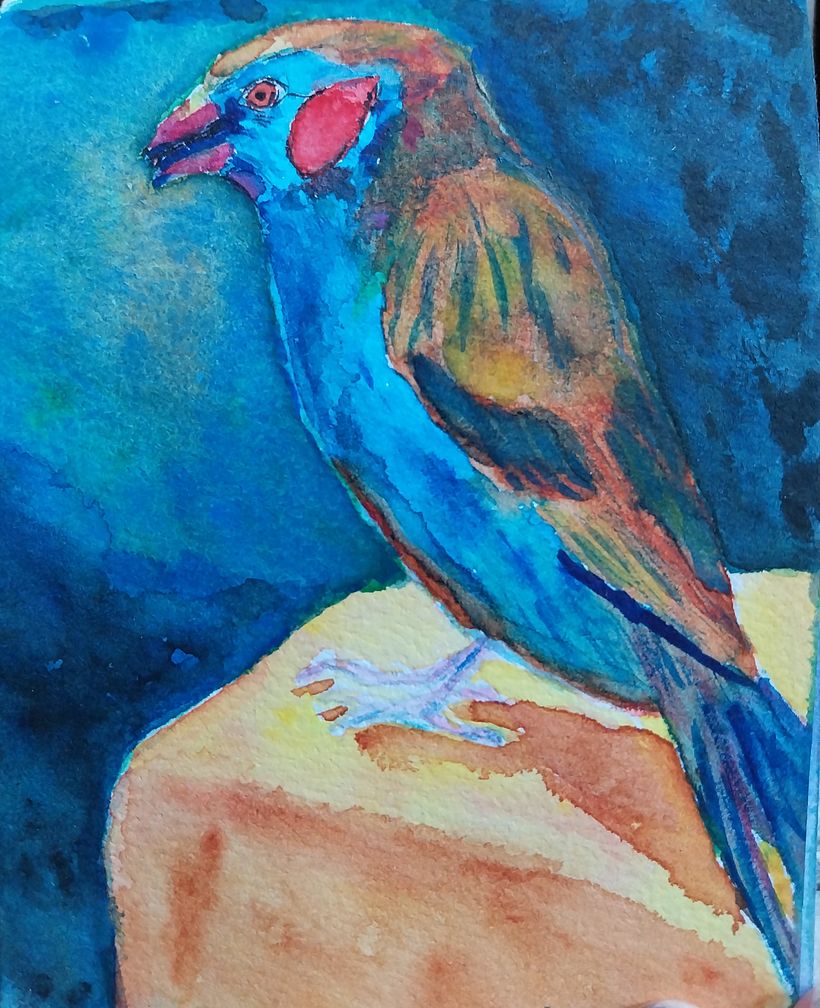 My project for course: Artistic Watercolor Techniques for Illustrating Birds 3