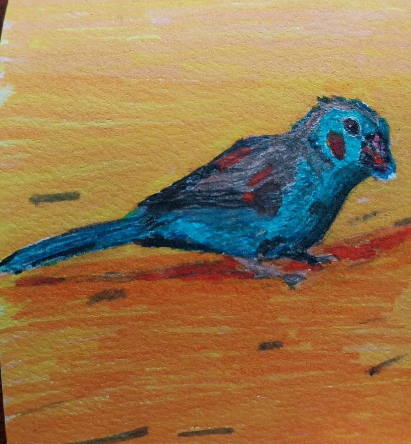 My project for course: Artistic Watercolor Techniques for Illustrating Birds 4