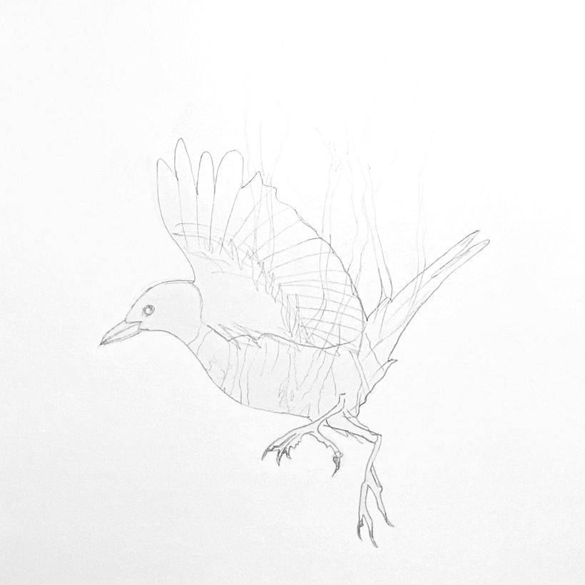 Mi proyecto del curso: Ilustración realista de pájaros con elementos creativos 4