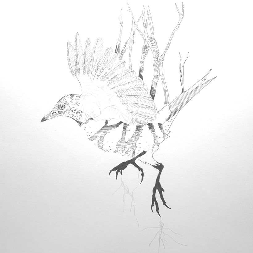 Mi proyecto del curso: Ilustración realista de pájaros con elementos creativos 7