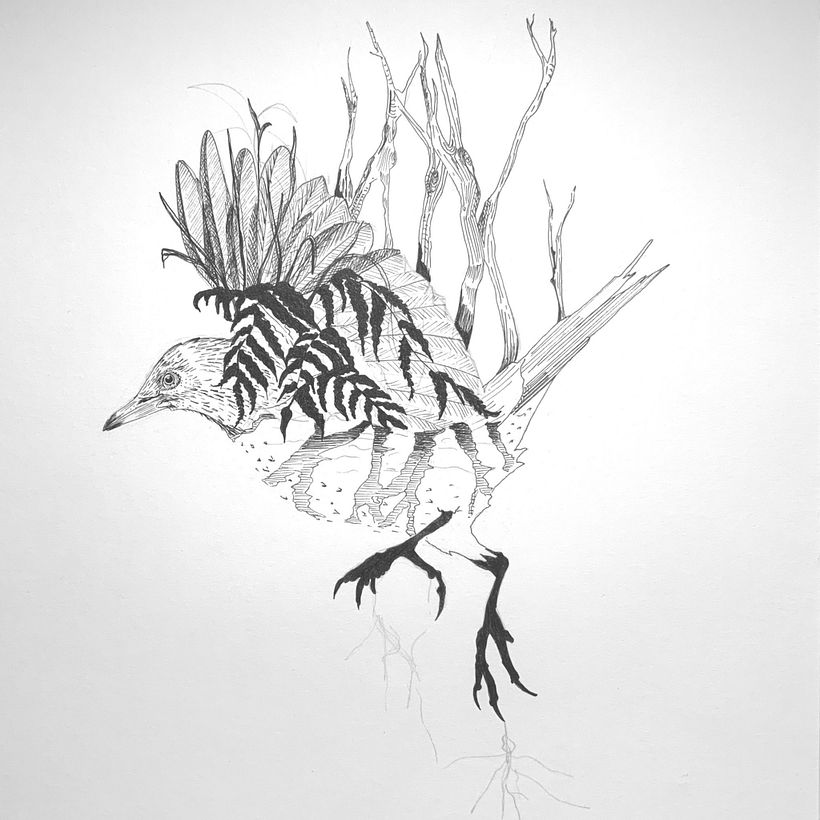 Mi proyecto del curso: Ilustración realista de pájaros con elementos creativos 7