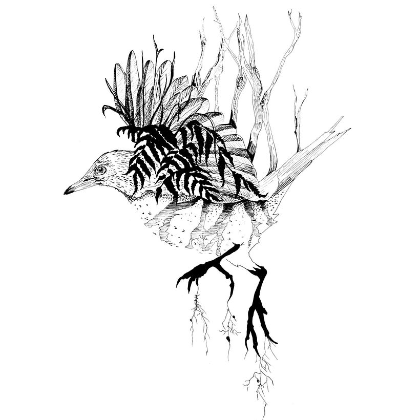 Mi proyecto del curso: Ilustración realista de pájaros con elementos creativos 8