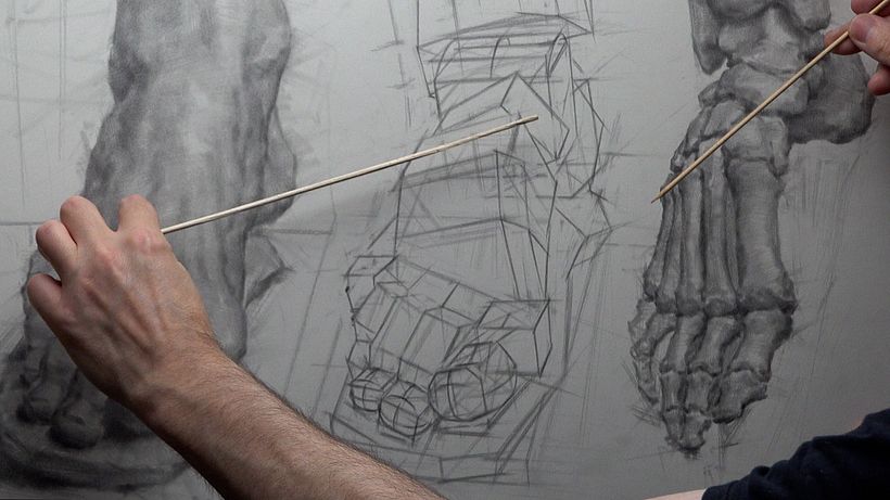Showing planar indications of the foot