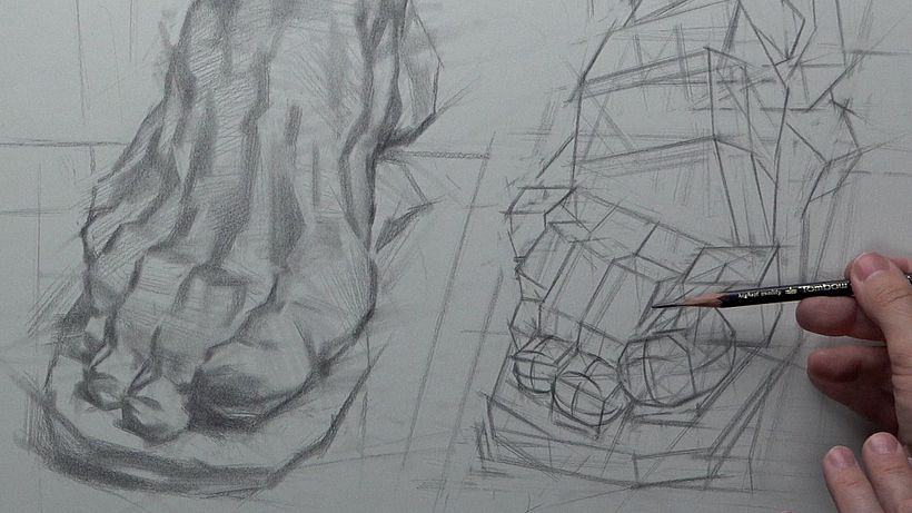 The unique, "great" toe