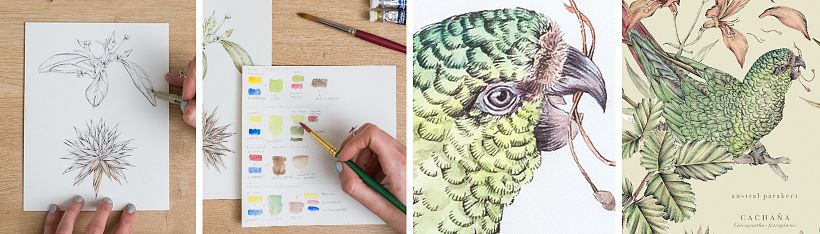 Ejes constructivos y diagramación: ¿Cómo manejar armónicamente el espacio visual? 5
