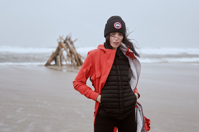 Canada Goose, Newfoundland 1