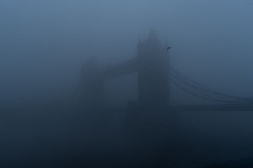 London Fog 4