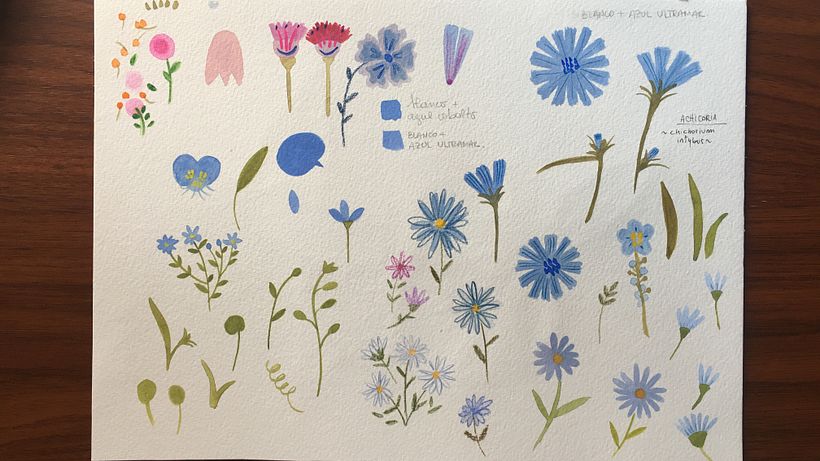 first sketches