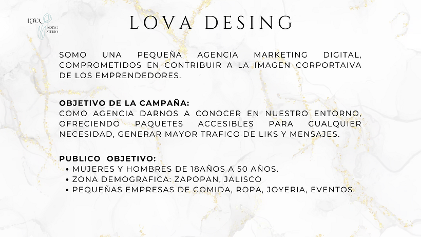 Mi proyecto del curso: Google Ads y Facebook Ads desde cero 2