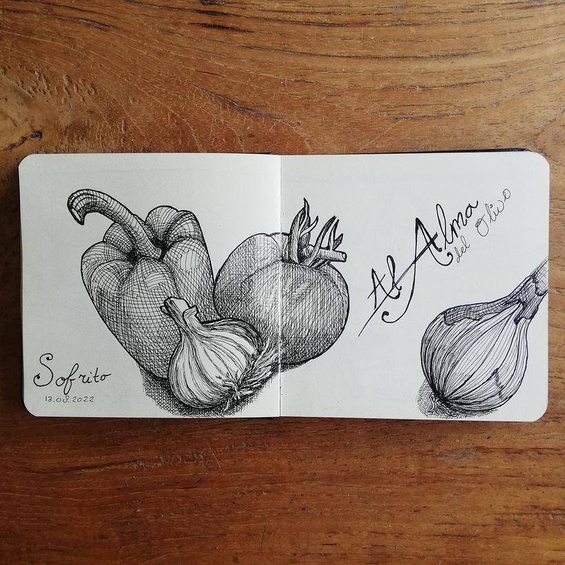 Monique's Illustrated Diary: Fill Your Sketchbook with Experiences 2