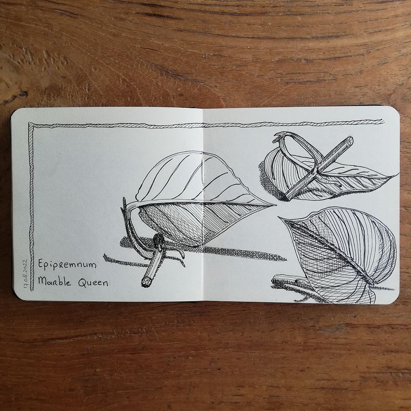 Monique's Illustrated Diary: Fill Your Sketchbook with Experiences 3