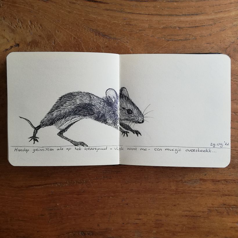 Monique's Illustrated Diary: Fill Your Sketchbook with Experiences 8