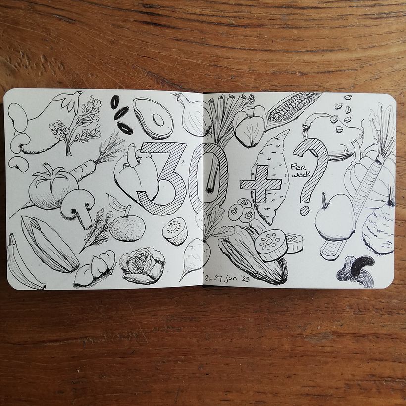Monique's Illustrated Diary: Fill Your Sketchbook with Experiences 14