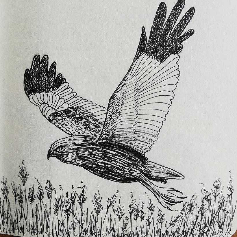Monique's Illustrated Diary: Fill Your Sketchbook with Experiences 17