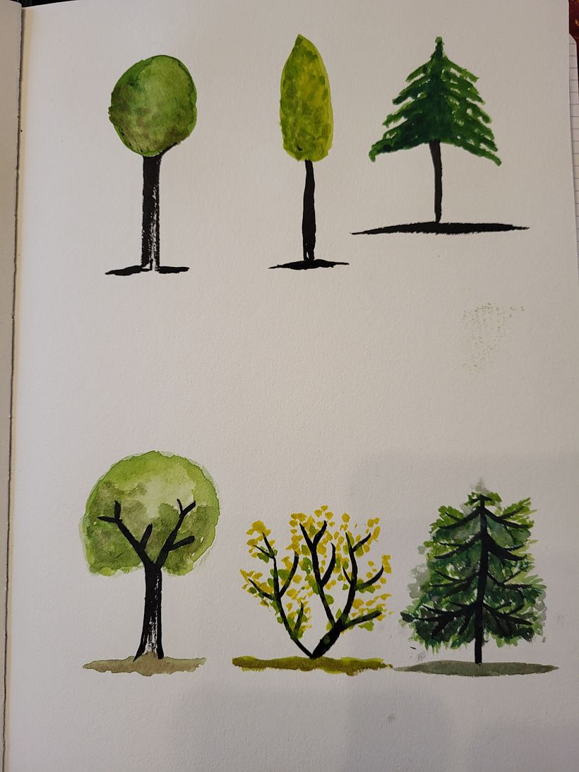 Mon projet du cours : Dessin pour débutants niveau -1 4