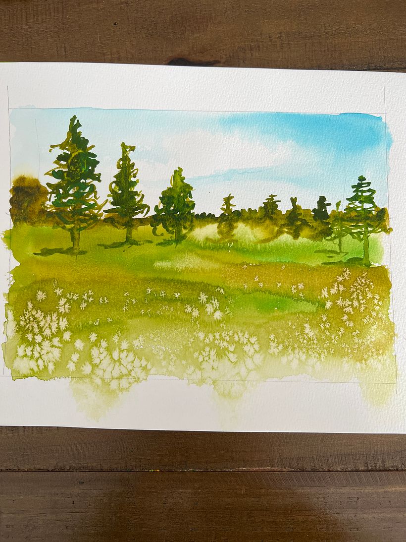 Tree practice 